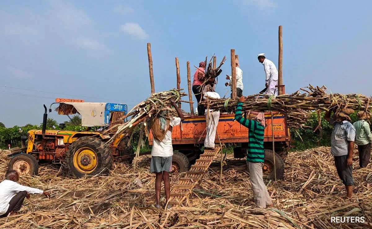 India could ban sugar export | Image: Reuters