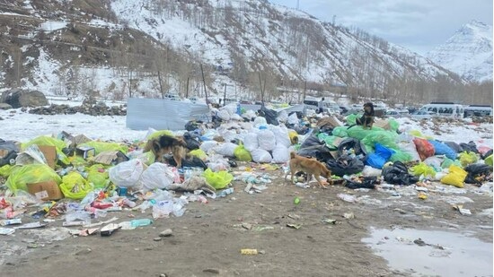 IFS officer Praveen Kaswan's image showing piled-up trash in Sissu village near the Atal Tunnel