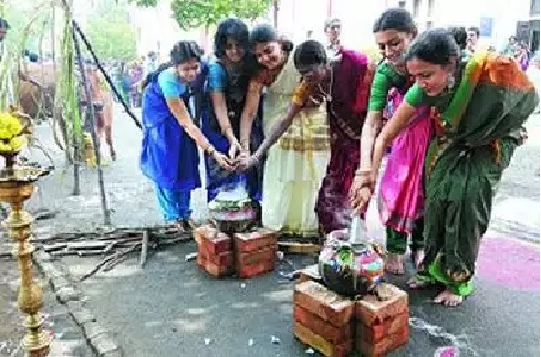 Pongal in Tamil Nadu